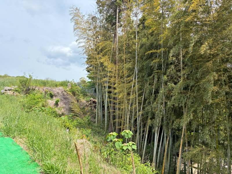 三浦郡葉山町木古庭の売買物件/アウトドアスペースと竹林の間に急傾斜地を含みます