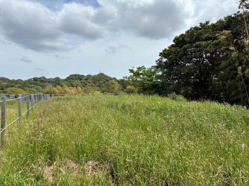 三浦郡葉山町木古庭の売買物件/B区画のアウトドアスペースは比較的フラットで使いやすく、竹林と隣り合わせ。視線をうまく遮りながら、趣味に没頭できそう