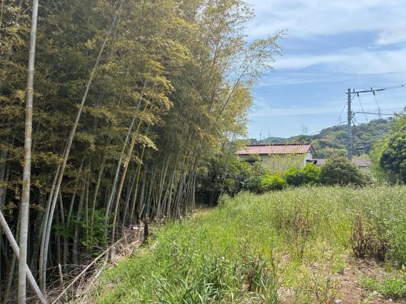 三浦郡葉山町木古庭の売買物件/D区画｜アウトドアスペースと竹林