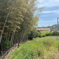 三浦郡葉山町木古庭の売買物件/D区画｜アウトドアスペースと竹林