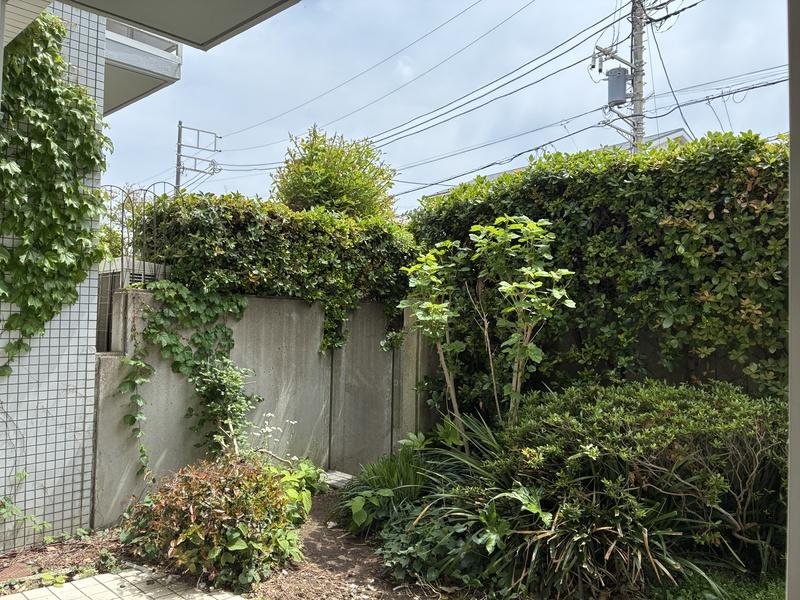 藤沢市辻堂東海岸二丁目の売買物件/庭は、花を植えたり、鉢植えで植物を増やしたりしたくなります