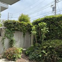 藤沢市辻堂東海岸二丁目の売買物件/庭は、花を植えたり、鉢植えで植物を増やしたりしたくなります