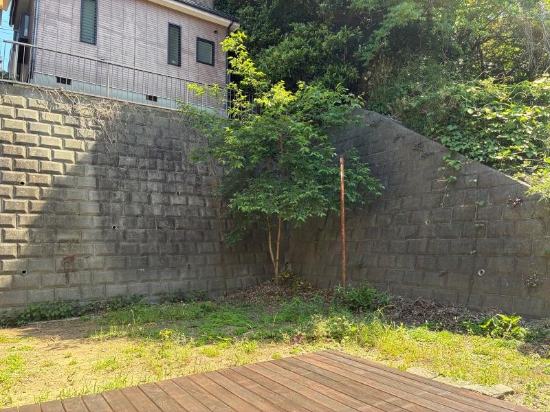 横須賀市鴨居一丁目の賃貸物件/庭｜広い建物まわり。外でのアクティビティが好きな方には嬉しいスペース