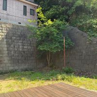 横須賀市鴨居一丁目の賃貸物件/庭｜広い建物まわり。外でのアクティビティが好きな方には嬉しいスペース