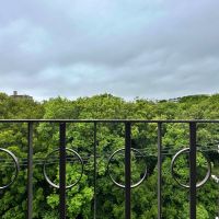 茅ヶ崎市茅ヶ崎二丁目の売買物件/西側洋室からの眺望｜公園の木々が成長して目線よりも高い位置に