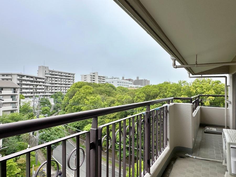 茅ヶ崎市茅ヶ崎二丁目の売買物件/南側のバルコニーからの眺望｜下に広がるのは公園の緑。正面の建物が無かった時代は茅ヶ崎花火大会が見えたそうです