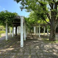 茅ヶ崎市茅ヶ崎二丁目の売買物件/第一カッターきいろ公園（茅ヶ崎中央公園）｜藤棚の下でひと休み