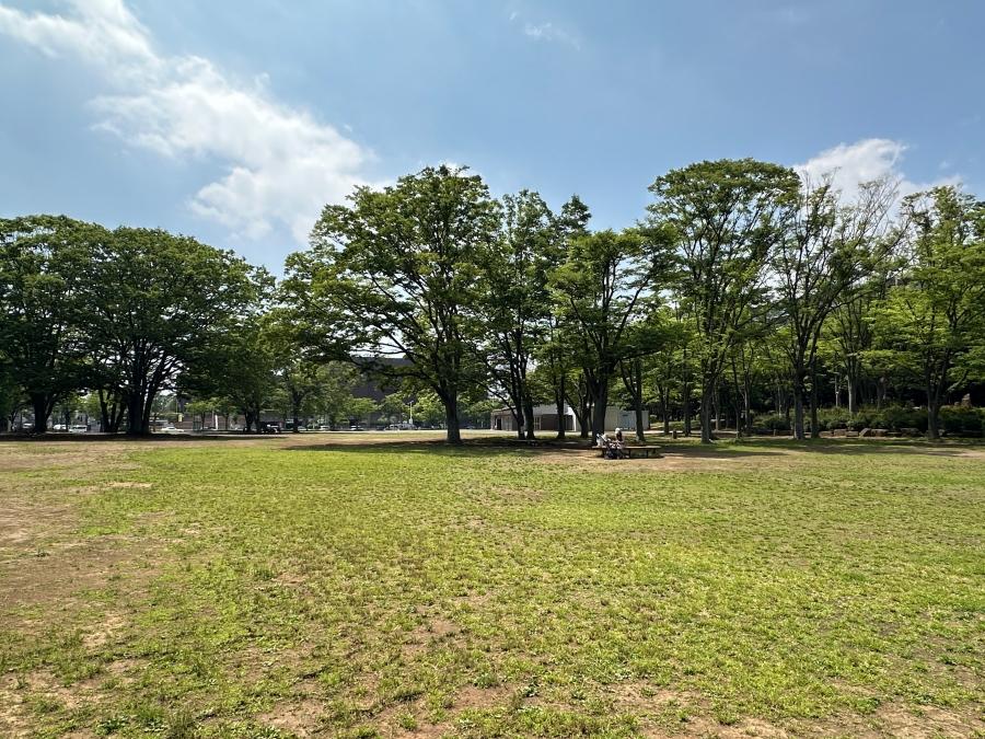 茅ヶ崎市茅ヶ崎二丁目の売買物件/第一カッターきいろ公園（茅ヶ崎中央公園）｜子供が思い切り遊べる芝生広場。こんな公園が目の前にあるのは羨ましい