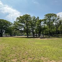 茅ヶ崎市茅ヶ崎二丁目の売買物件/第一カッターきいろ公園（茅ヶ崎中央公園）｜子供が思い切り遊べる芝生広場。こんな公園が目の前にあるのは羨ましい