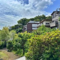 鎌倉市台四丁目の賃貸物件/遠くから見た外観｜周囲は緑がモリモリ