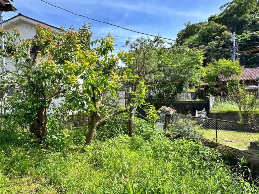 鎌倉市十二所の賃貸物件/庭｜タイミングは少しずれてしまいますが、今から苗植えしたら秋前くらいには夏野菜も収穫できるはず