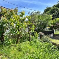 鎌倉市十二所の賃貸物件/庭｜タイミングは少しずれてしまいますが、今から苗植えしたら秋前くらいには夏野菜も収穫できるはず