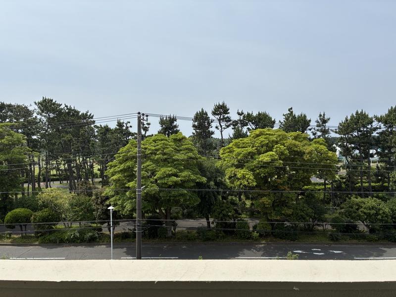 藤沢市辻堂西海岸二丁目の売買物件/南側の眺望。目の前は海浜公園です