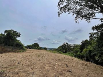横須賀市根岸町二丁目の売買物件/山を独り占め