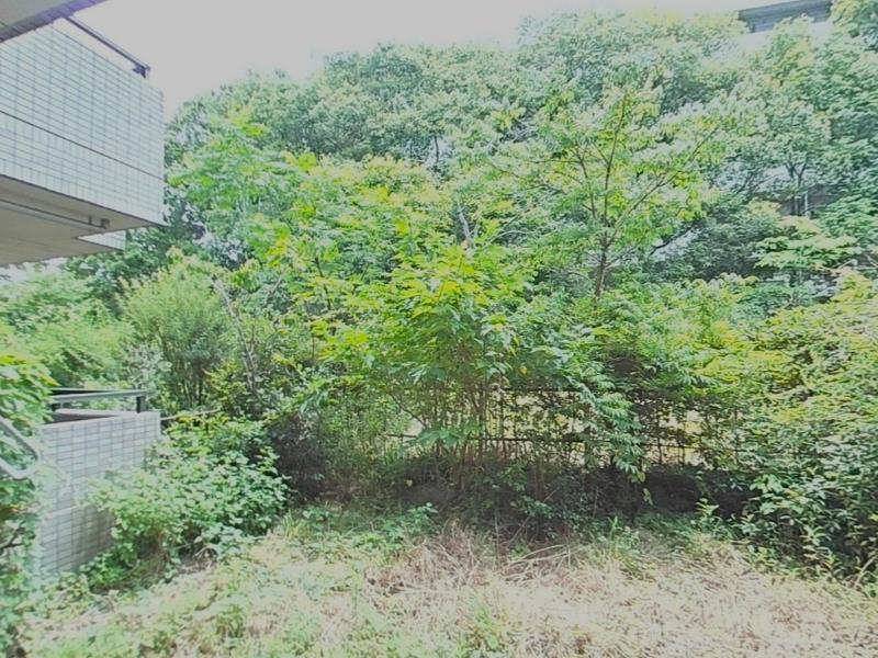 藤沢市辻堂太平台二丁目の売買物件/庭