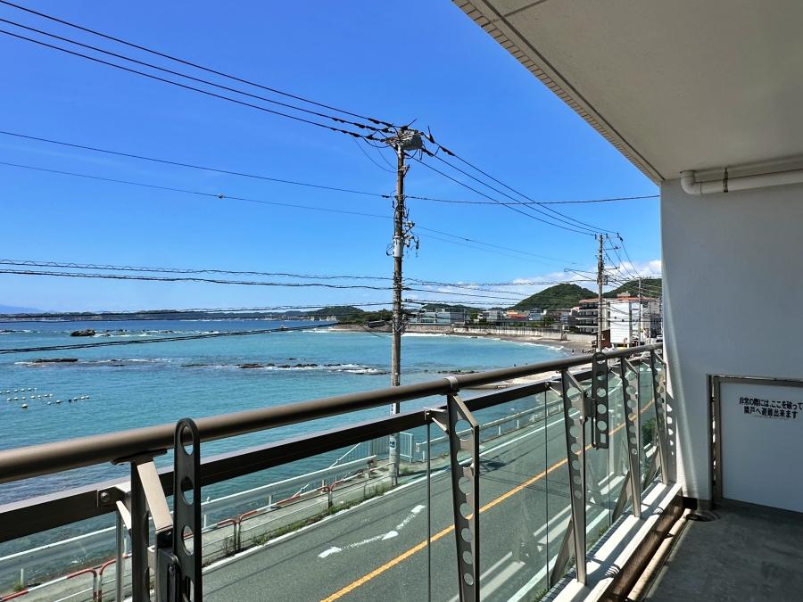 葉山町一色の売買物件/バルコニーからの眺望｜電線はありますがあまり気になりませんでした
