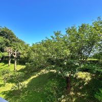 逗子市小坪五丁目の売買物件/バルコニーからの眺望｜斜面の下には小坪漁港と逗子マリーナが広がっています