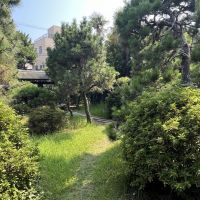 鎌倉市坂ノ下の賃貸物件/庭