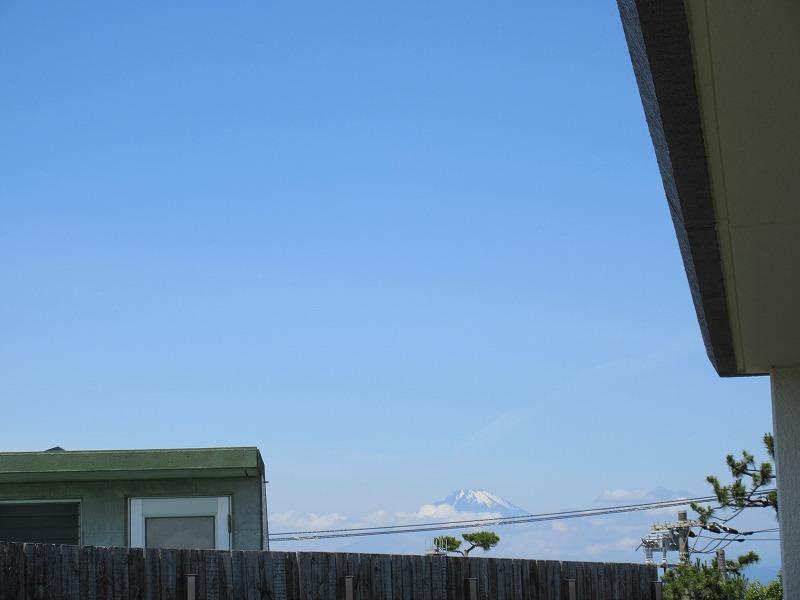 遠くに富士山!!