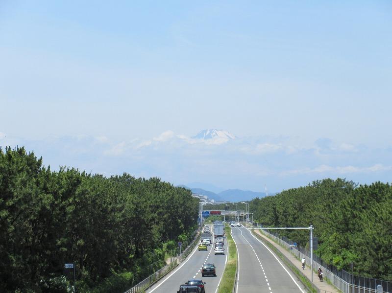 周辺|国道134号線からも富士山が見えます