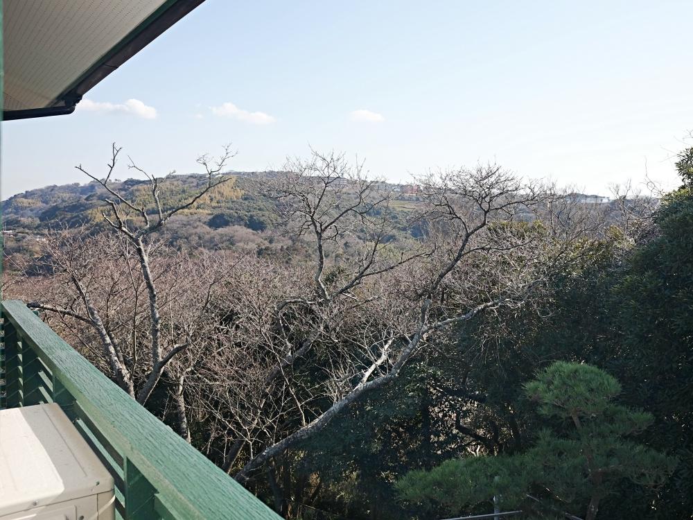 洋室からの眺め
