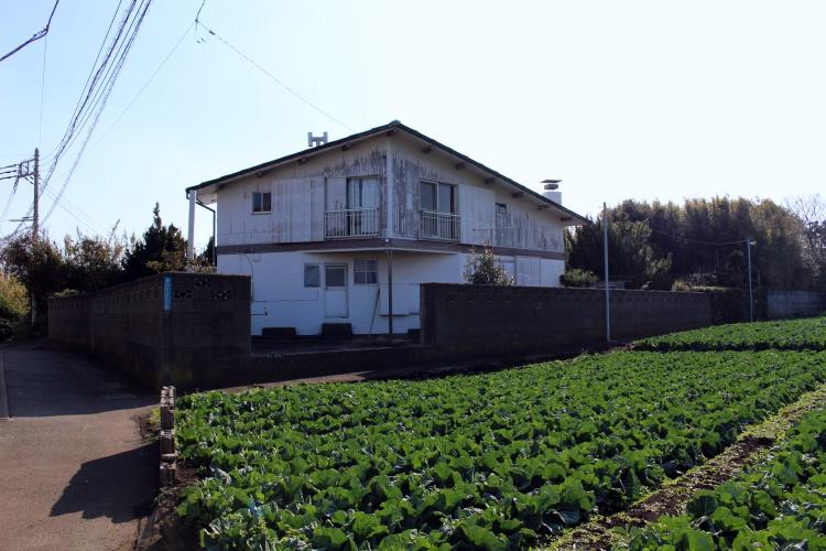こちらが古家が残る部分(手前のキャベツ畑はお隣です)