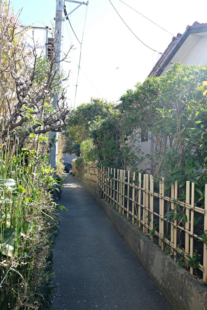 家の脇の細道。