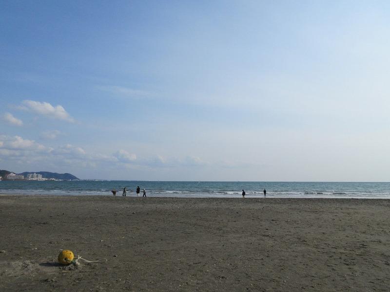 海岸までもすぐです