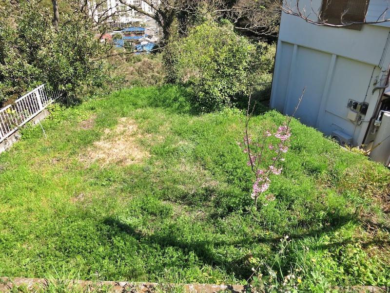 前面道路から見下ろす|宅盤よりも道路が高い