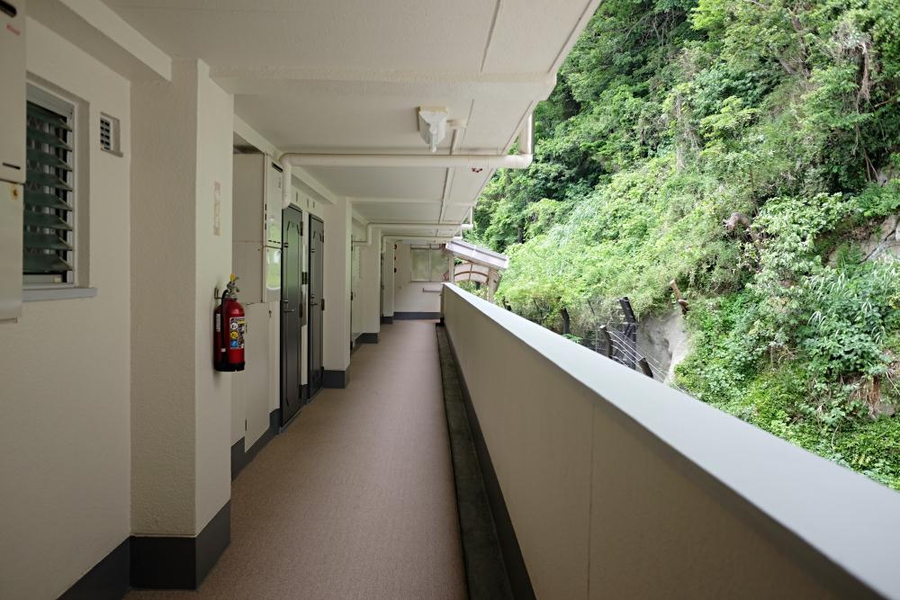 共用廊下|山の緑が鬱蒼としてます