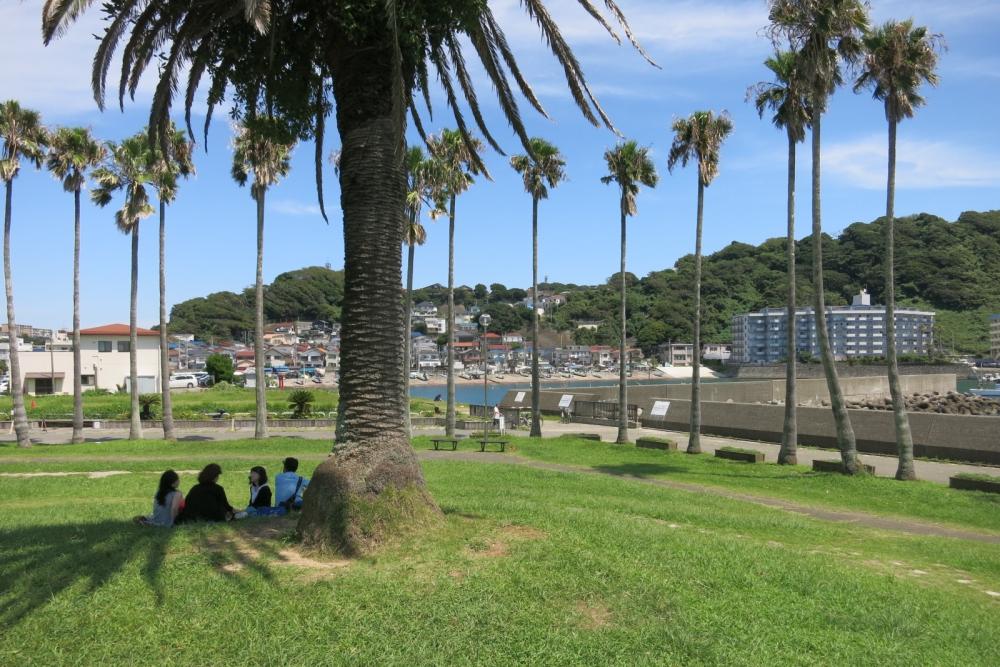 背の高いパームツリーが並び異国情緒たっぷり。隣接の公園。