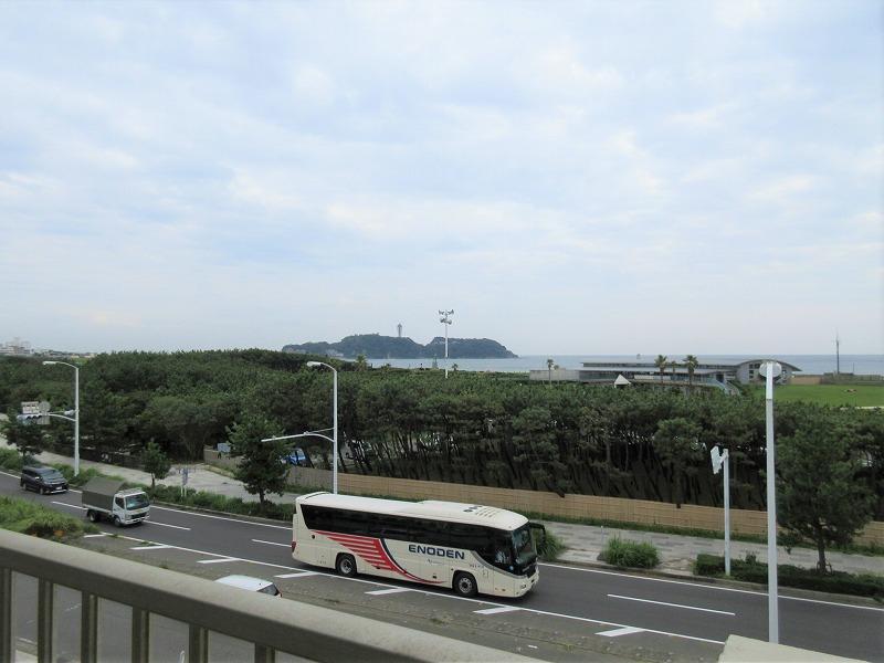 ベランダより。目の前は鵠沼海浜公園