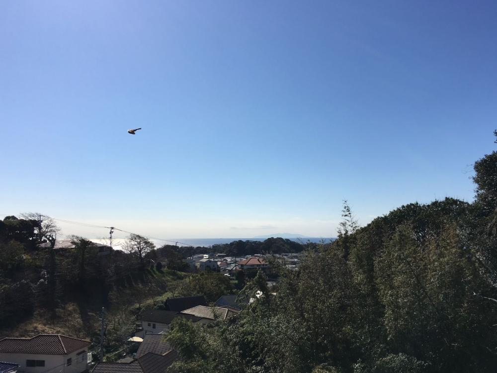 バルコニーから|緑と海、空をセットで