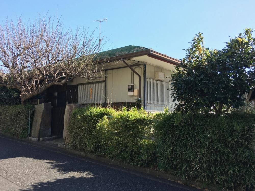 表の通りから見ると小ぶりなサイズ