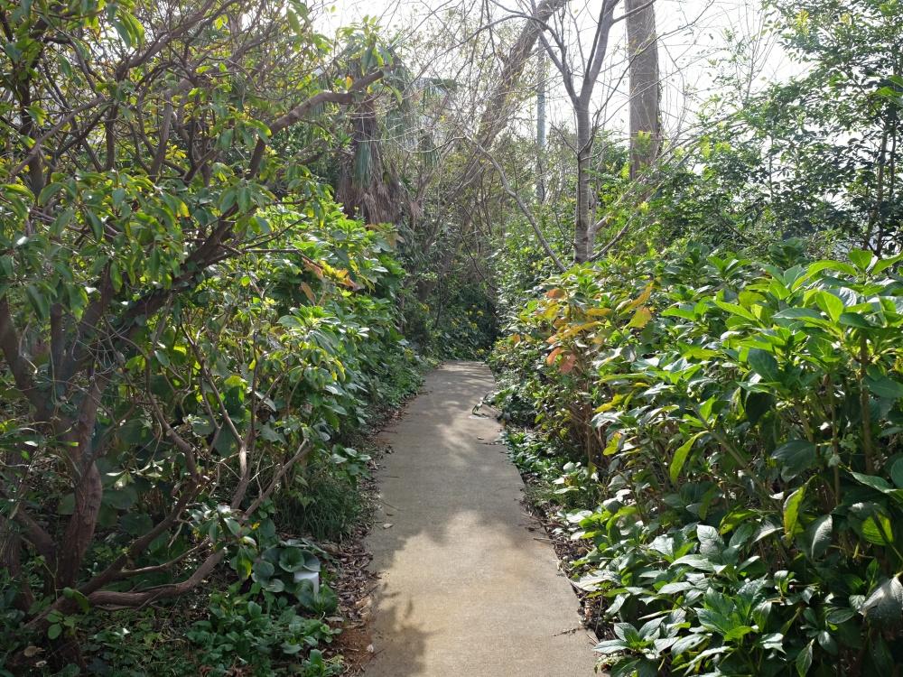 建物までは木々が茂る小道。