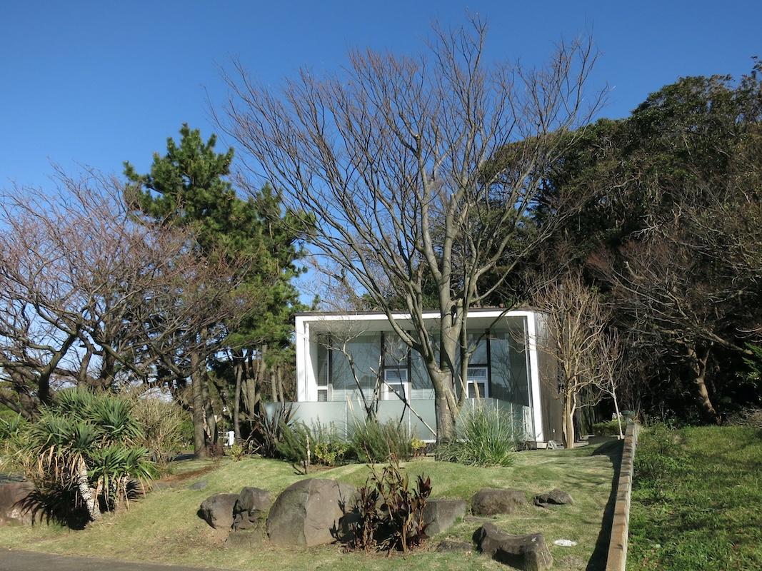 あらためて、庭からの見上げ|植栽とのバランス良し