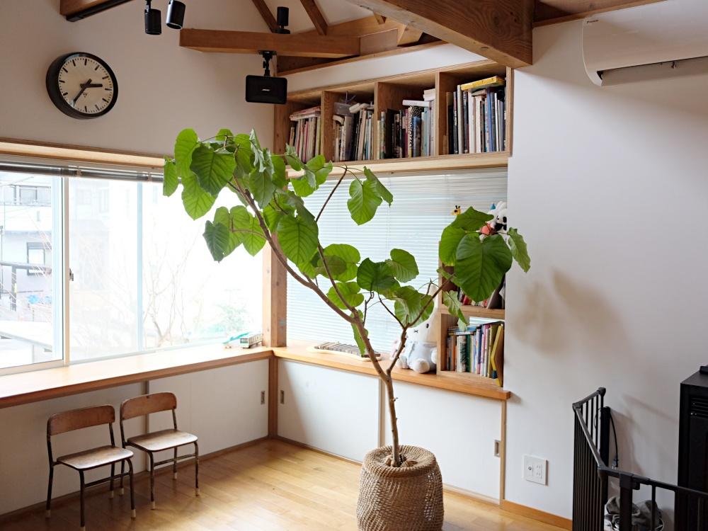 窓辺コーナー。窓枠と造作収納の収まりがきれいです。