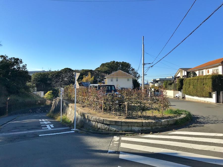 カーブの高低差はご覧の通り