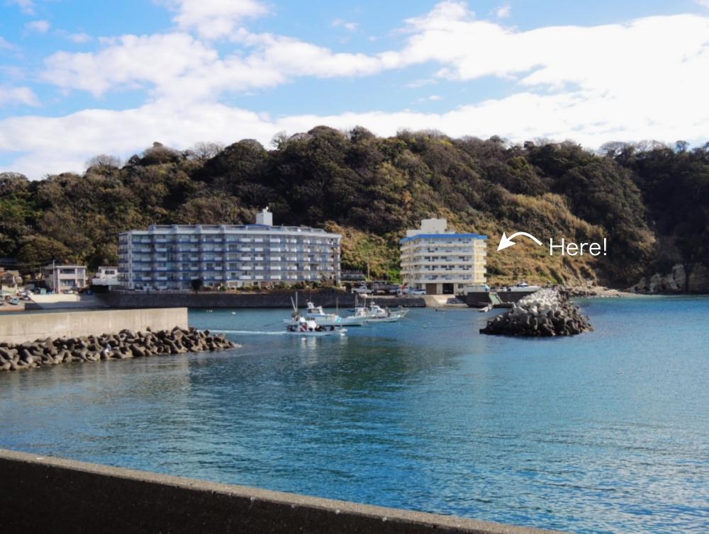 大崎公園の緑を背負います