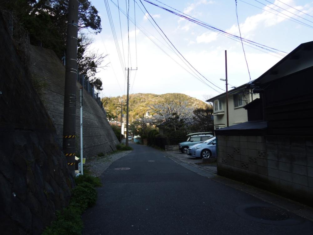 山が見えたり