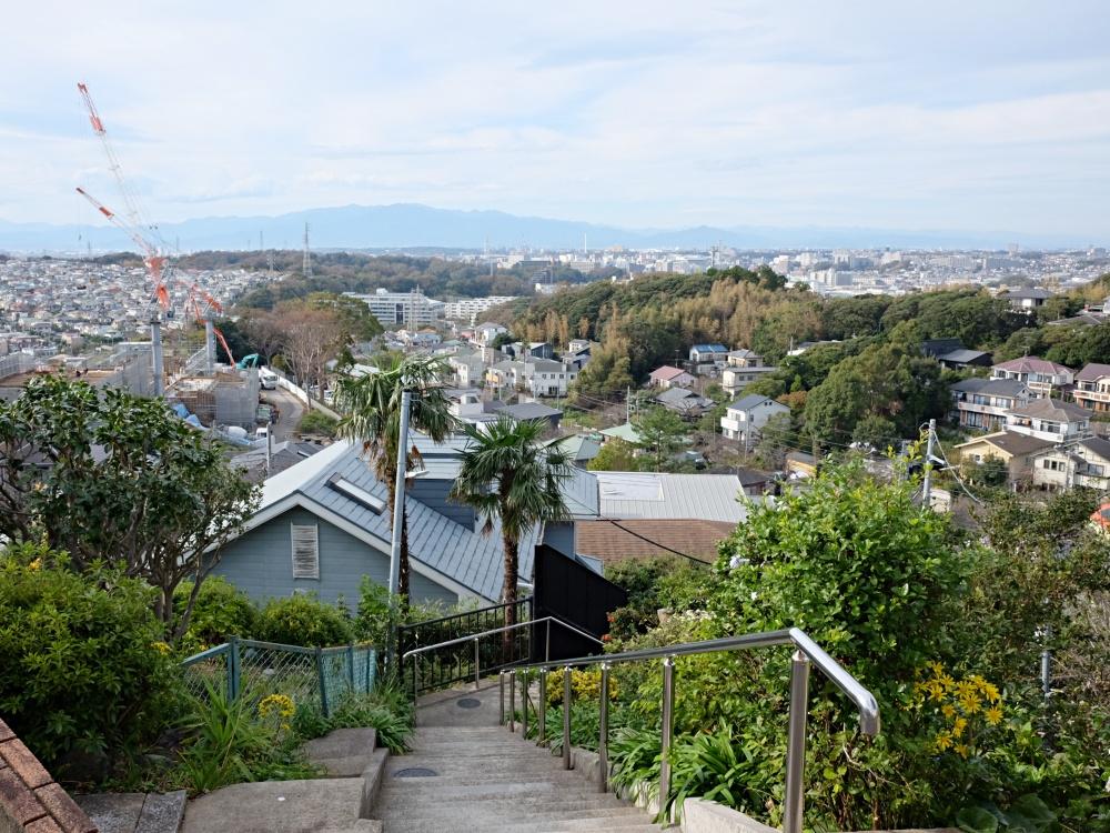 敷地の端っこから。青空を吸い込みたくなる景色。