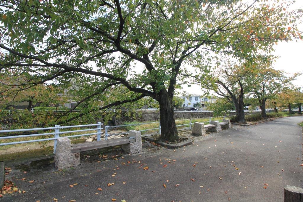 歩いて1分の伏見川