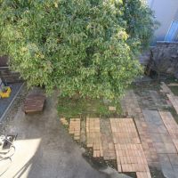 金沢市小橋町の賃貸物件/2階から、庭を見下ろす