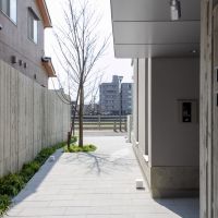 金沢市中央通町の賃貸物件/シンボルツリーの桜の木があるアプローチ