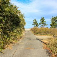 富山県射水市海老江練合字香海里の賃貸物件/貸土地横通路から海へ