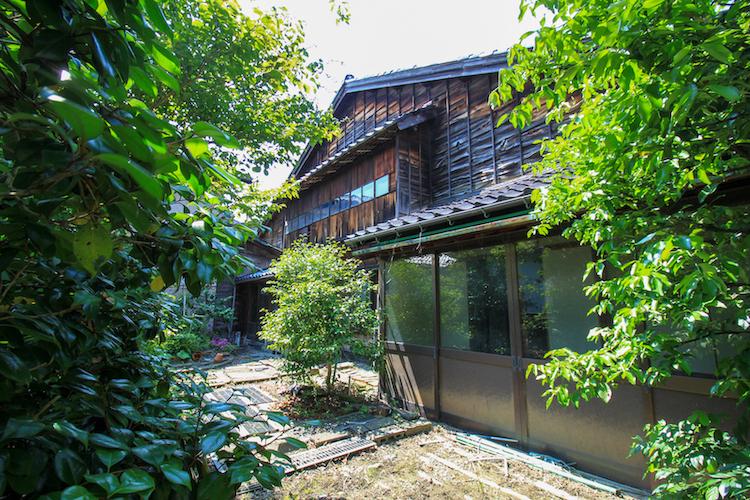 石川県金沢市扇町の賃貸物件/裏庭は植栽がもりもり。果樹もあります。