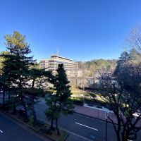 金沢市香林坊1丁目の賃貸物件/窓からの景色　オフィスから緑が見えると気持ちいいです