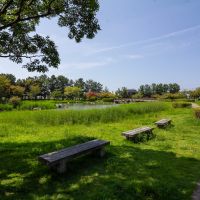 金沢市金石本町の売買物件/神社の隣の大野湊緑地公園。池もあります。