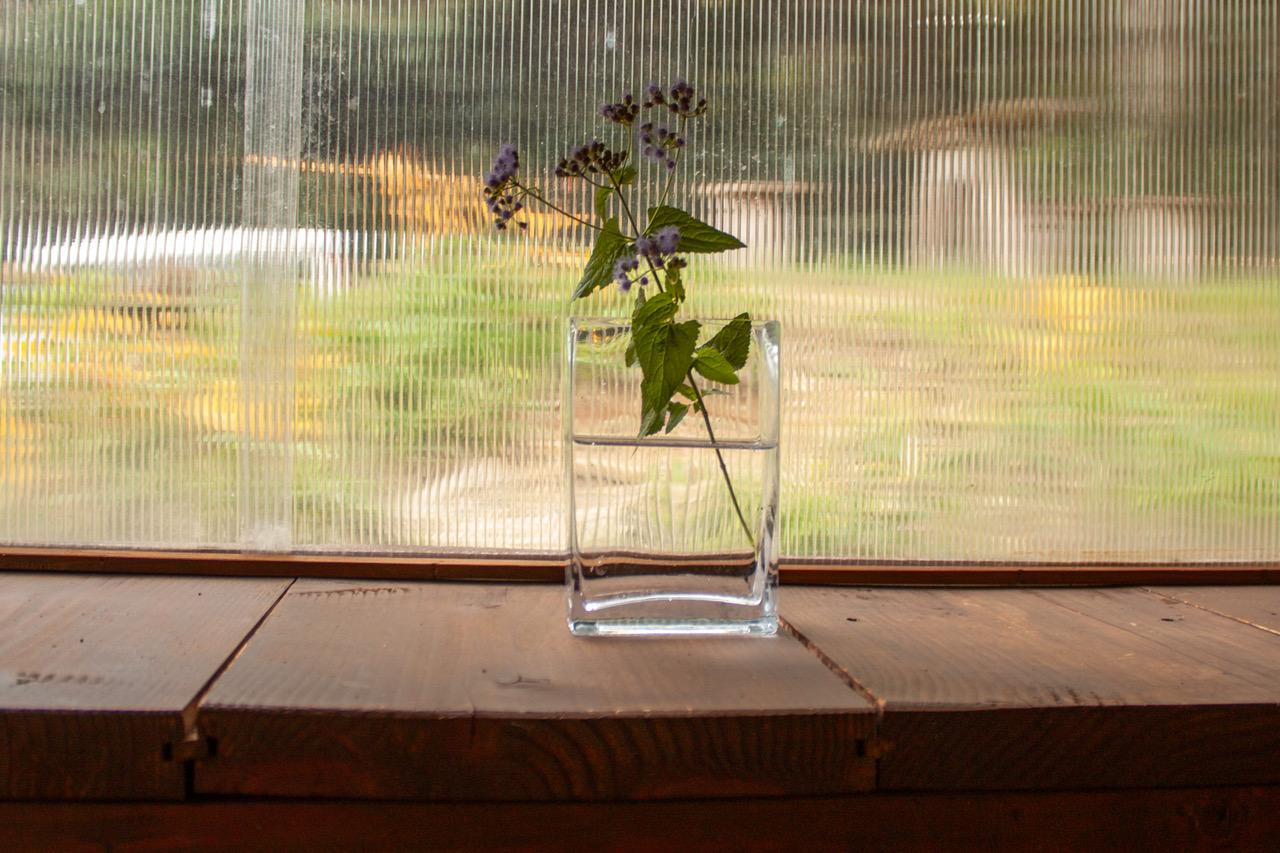 福井県坂井市三国町崎の売買物件/野草が似合います