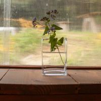 福井県坂井市三国町崎の売買物件/野草が似合います